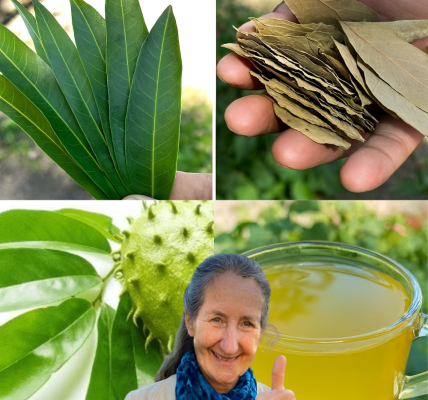 Unlock the Secret to Reversing Diabetes, High Blood Pressure, and Poor Circulation Naturally Unlock the Secret to Reversing Diabetes, High Blood Pressure, and Poor Circulation Naturally