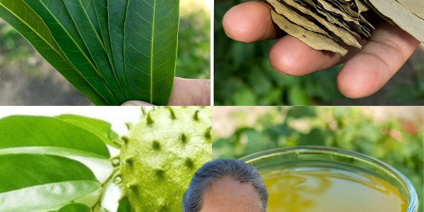 Unlock the Secret to Reversing Diabetes, High Blood Pressure, and Poor Circulation Naturally Unlock the Secret to Reversing Diabetes, High Blood Pressure, and Poor Circulation Naturally