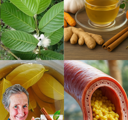 Unlock Your Day with This Vibrant Morning & Evening Tea Blend: A Potent Elixir for Health and Vitality Unlock Your Day with This Vibrant Morning & Evening Tea Blend: A Potent Elixir for Health and Vitality