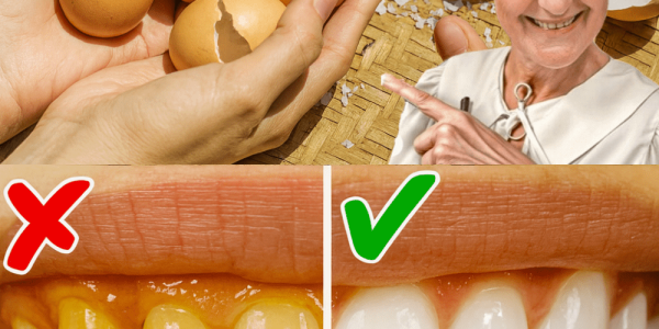 The Eggshell Secret to a Dazzling Smile: Transform Your Kitchen Scraps into a Dental Game-Changer The Eggshell Secret to a Dazzling Smile: Transform Your Kitchen Scraps into a Dental Game-Changer