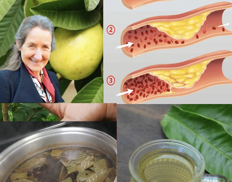 Energizing and Calming Teas: The Perfect Blends to Start Your Day and Unwind Your Evening Energizing and Calming Teas: The Perfect Blends to Start Your Day and Unwind Your Evening