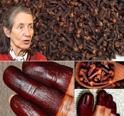 Henna Hacks: How Cloves Unlock Darker, Richer Stains Naturally Henna Hacks: How Cloves Unlock Darker, Richer Stains Naturally