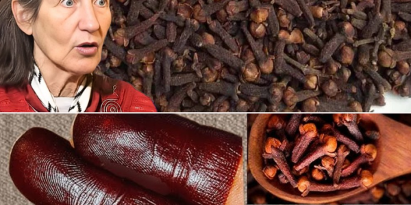 Henna Hacks: How Cloves Unlock Darker, Richer Stains Naturally