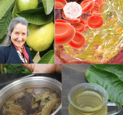 Energizing and Calming Teas: The Perfect Blends to Start Your Day and Unwind Your Evening Energizing and Calming Teas: The Perfect Blends to Start Your Day and Unwind Your Evening