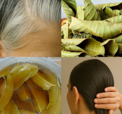 Unveiling the Hidden Secrets of Guava Leaves: Transform Your Hair Naturally! Unveiling the Hidden Secrets of Guava Leaves: Transform Your Hair Naturally!