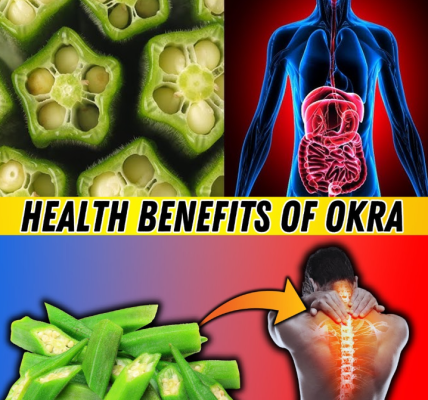 10 Things You Should Know About Okra Before Adding It to Your Diet 10 Things You Should Know About Okra Before Adding It to Your Diet