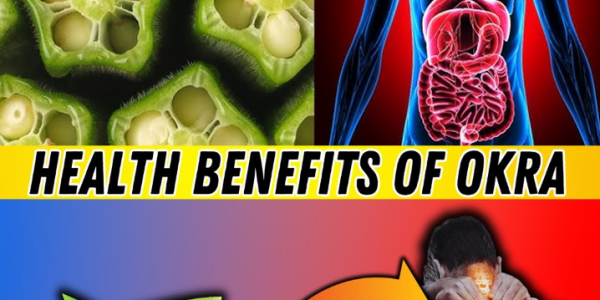 10 Things You Should Know About Okra Before Adding It to Your Diet