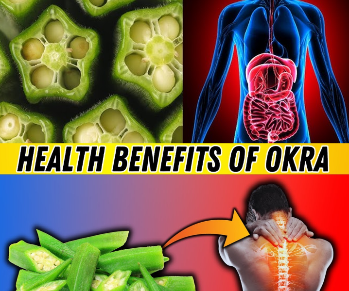 10 Things You Should Know About Okra Before Adding It to Your Diet 10 Things You Should Know About Okra Before Adding It to Your Diet