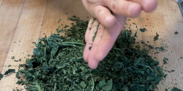 If You Have Fig Leaves, You Have Gold: Discover Their Hidden Health Benefits