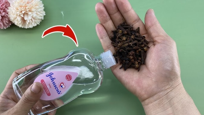 The Secret Blend: Baby Oil and Cloves – A Simple Ritual to Soothe Body and Mind The Secret Blend: Baby Oil and Cloves – A Simple Ritual to Soothe Body and Mind