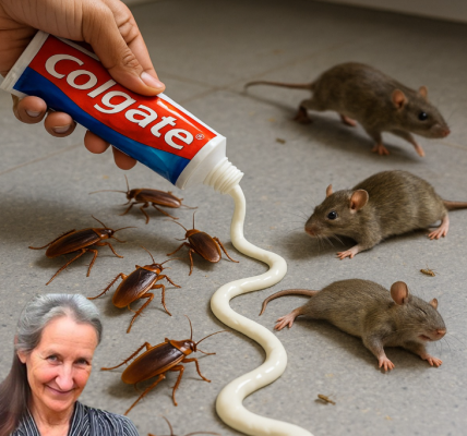 Stop Wasting Money on Mouse, Cockroach, and Ant Poisons: How Toothpaste May Help Protect Your Stop Wasting Money on Mouse, Cockroach, and Ant Poisons: How Toothpaste May Help Protect Your