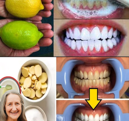 Natural Oral Care for Seniors: How Ginger and Lemon May Support a Brighter Smile Over Time Natural Oral Care for Seniors: How Ginger and Lemon May Support a Brighter Smile Over Time