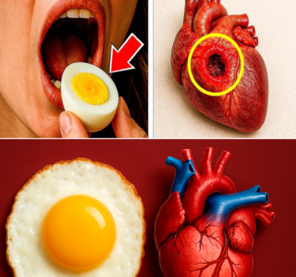 Don’t Eat Eggs Every Day If You Have These Health Problems Don’t Eat Eggs Every Day If You Have These Health Problems