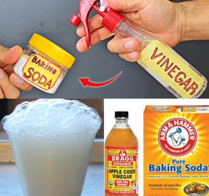 The Magic of Mixing Baking Soda and Vinegar: Fun, Foamy & Surprisingly Useful The Magic of Mixing Baking Soda and Vinegar: Fun, Foamy & Surprisingly Useful