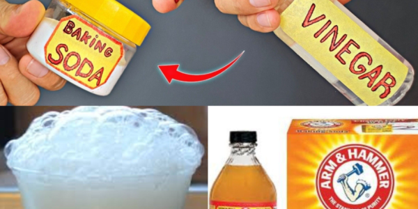 The Magic of Mixing Baking Soda and Vinegar: Fun, Foamy & Surprisingly Useful