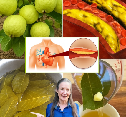 The Best Morning and Evening Tea: A Nutrient-Packed Blend to Boost Your Day The Best Morning and Evening Tea: A Nutrient-Packed Blend to Boost Your Day