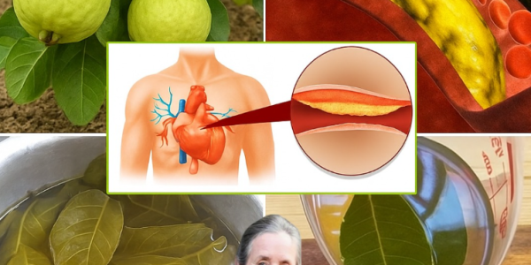 The Best Morning and Evening Tea: A Nutrient-Packed Blend to Boost Your Day