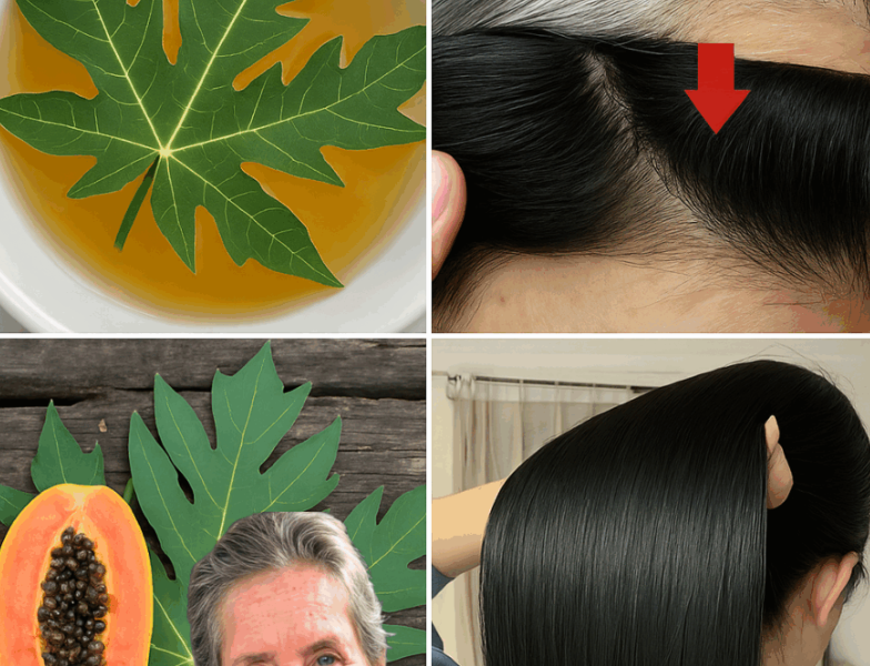 Embrace the Power of Papaya Leaves: A Natural Remedy for Youthful, Vibrant Hair Embrace the Power of Papaya Leaves: A Natural Remedy for Youthful, Vibrant Hair
