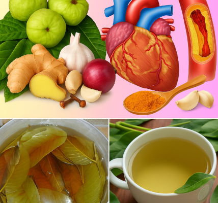 The Best Tea for Mornings and After Dinner: A Powerful Blend for Health The Best Tea for Mornings and After Dinner: A Powerful Blend for Health