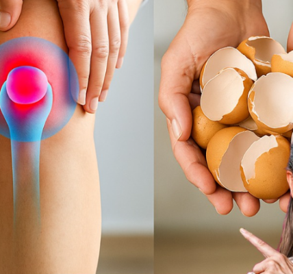 Stop Throwing Out Eggshells – These Mind-Blowing Uses Will Change Your Life Forever! Stop Throwing Out Eggshells – These Mind-Blowing Uses Will Change Your Life Forever!