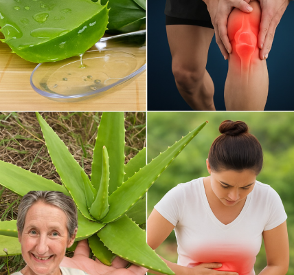 Most People Ignore Aloe VeraâUntil They Face One of These 16 Problems Most People Ignore Aloe VeraâUntil They Face One of These 16 Problems
