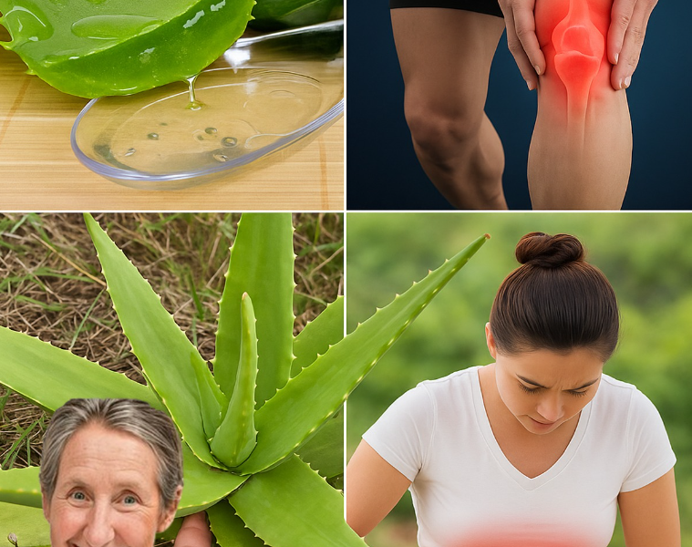 Most People Ignore Aloe Vera—Until They Face One of These 16 Problems Most People Ignore Aloe Vera—Until They Face One of These 16 Problems