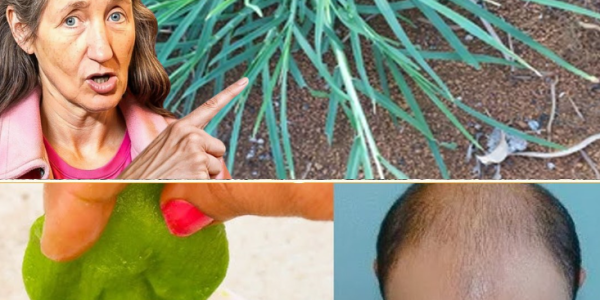 Crabgrass for Hair Loss: Exploring Natural Remedies and Uses