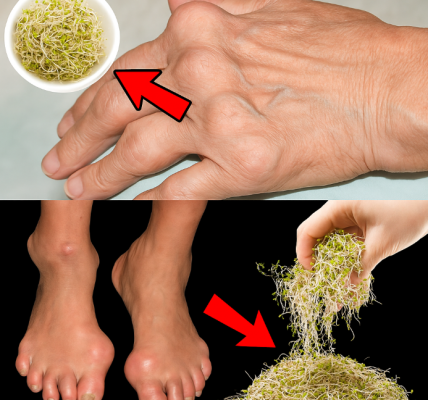 How Bean Sprouts May Support Kidney and Joint Health Naturally How Bean Sprouts May Support Kidney and Joint Health Naturally
