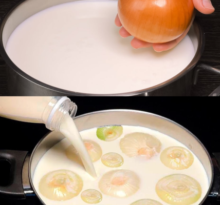 Onion Milk: Ancient Elixir That Heals From Within Onion Milk: Ancient Elixir That Heals From Within