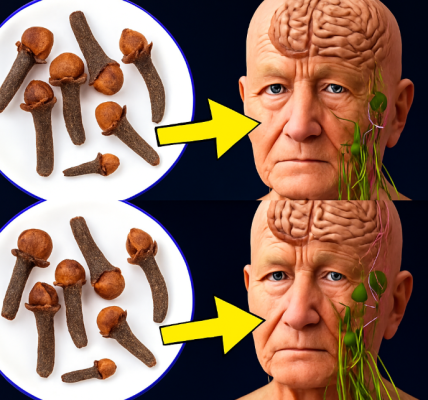 7 Amazing Health Benefits of Chewing Cloves Daily After 50 7 Amazing Health Benefits of Chewing Cloves Daily After 50