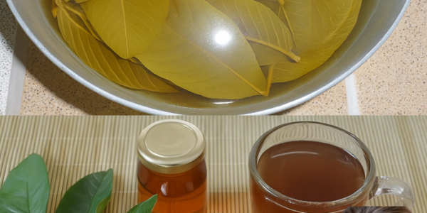 A Simple Cup of Tea That May Support Your Liver, Kidneys, Blood Sugar, and More