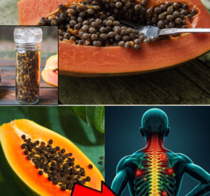 7 Surprising Health Benefits of Papaya Seeds and How to Use Them Safely 7 Surprising Health Benefits of Papaya Seeds and How to Use Them Safely