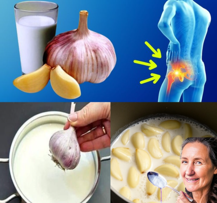 Boil Garlic in Milk and Drink It Once a Day – Here’s Why Your Body Will Thank You Boil Garlic in Milk and Drink It Once a Day – Here’s Why Your Body Will Thank You