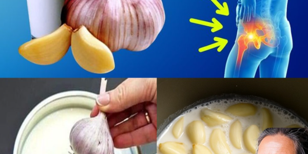 Boil Garlic in Milk and Drink It Once a Day – Here’s Why Your Body Will Thank You