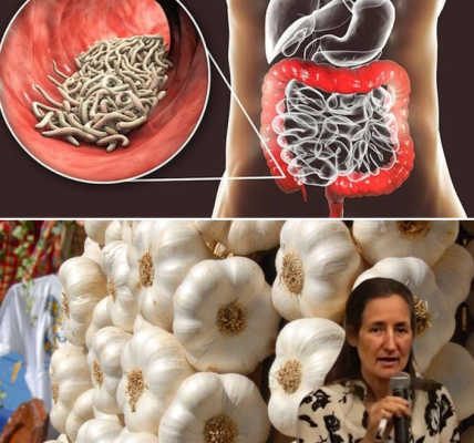 Garlic’s Hidden Power: 10 Surprising Ways This Tiny Clove Transforms Your Health Garlic’s Hidden Power: 10 Surprising Ways This Tiny Clove Transforms Your Health