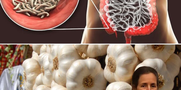 Garlic’s Hidden Power: 10 Surprising Ways This Tiny Clove Transforms Your Health