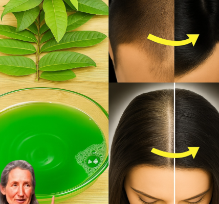 Stop Hair Loss in Its Tracks: The All-Natural DIY Shampoo Your Hair Has Been Waiting For Stop Hair Loss in Its Tracks: The All-Natural DIY Shampoo Your Hair Has Been Waiting For