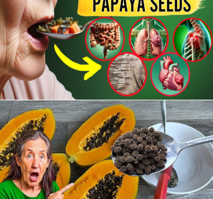 14 Impressive Health Benefits of Papaya Seeds After 50 (That Most People Overlook) 14 Impressive Health Benefits of Papaya Seeds After 50 (That Most People Overlook)