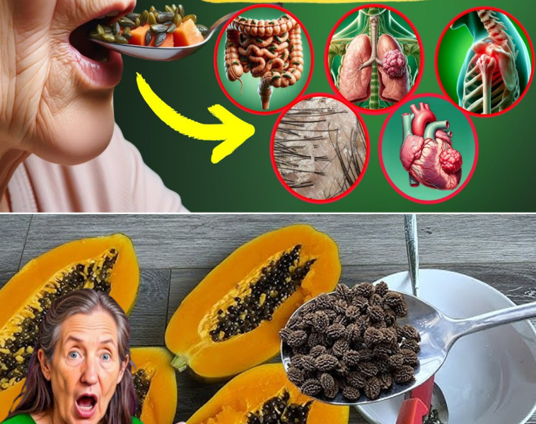 14 Impressive Health Benefits of Papaya Seeds After 50 (That Most People Overlook) 14 Impressive Health Benefits of Papaya Seeds After 50 (That Most People Overlook)