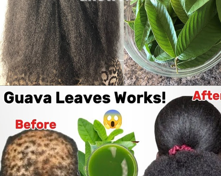 White Hair to Black Hair and Long Hair Overnight with Guava Leaves: A Natural Miracle You Can Try at Home White Hair to Black Hair and Long Hair Overnight with Guava Leaves: A Natural Miracle You Can Try at Home
