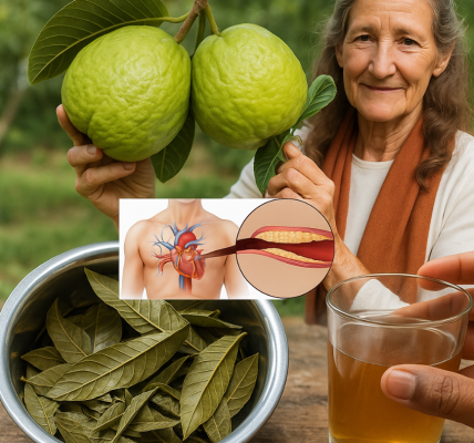 Unlock the Power of Guava Leaf Tea: 7 Natural Wellness Benefits You Should Know Unlock the Power of Guava Leaf Tea: 7 Natural Wellness Benefits You Should Know