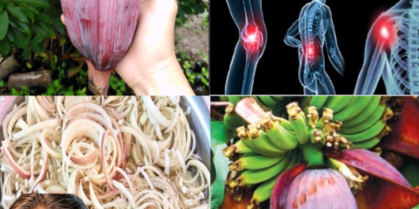 13 Amazing Health Benefits of Banana Blossoms for Middle-Aged and Elderly People
