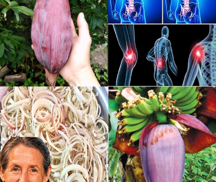 13 Amazing Health Benefits of Banana Blossoms for Middle-Aged and Elderly People