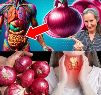 The Incredible Health Benefits of Onions: Why This Everyday Ingredient Belongs in Your Wellness Routine The Incredible Health Benefits of Onions: Why This Everyday Ingredient Belongs in Your Wellness Routine