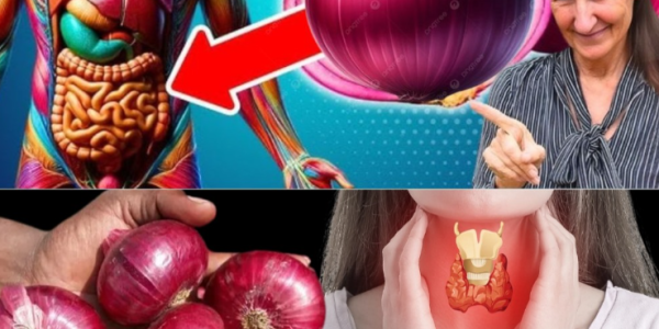 The Incredible Health Benefits of Onions: Why This Everyday Ingredient Belongs in Your Wellness Routine