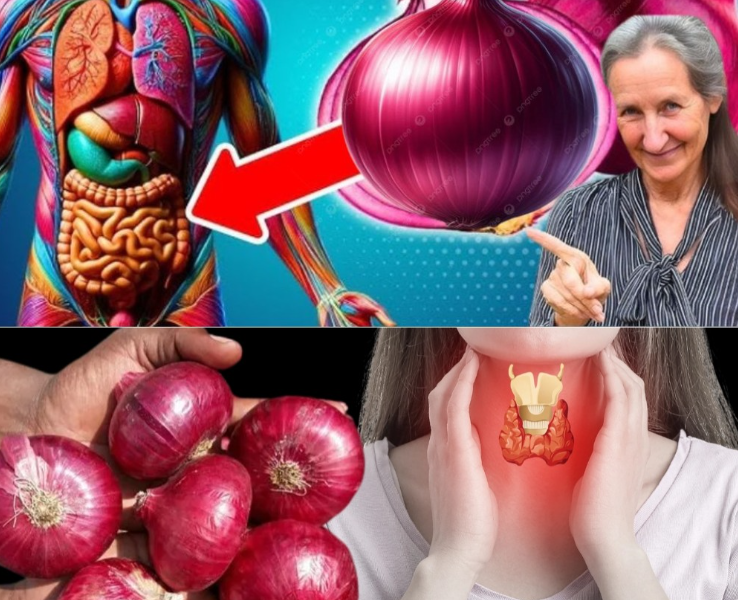 The Incredible Health Benefits of Onions: Why This Everyday Ingredient Belongs in Your Wellness Routine The Incredible Health Benefits of Onions: Why This Everyday Ingredient Belongs in Your Wellness Routine