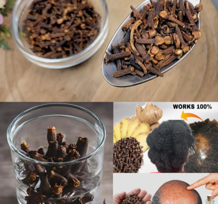 12 Powerful Clove Uses Every Woman Should Know – Natural Wellness and Beauty Support 12 Powerful Clove Uses Every Woman Should Know – Natural Wellness and Beauty Support