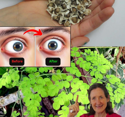 15 Powerful Benefits of Moringa Seeds That’ll Make You Skip the Pharmacy 15 Powerful Benefits of Moringa Seeds That’ll Make You Skip the Pharmacy
