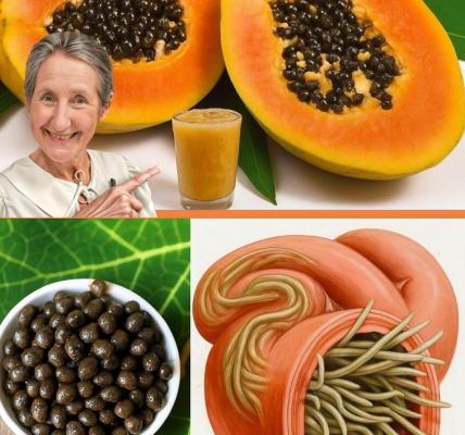 Discover the Hidden Treasure of Papaya Seeds: A Nutritional Powerhouse for Vibrant Health Discover the Hidden Treasure of Papaya Seeds: A Nutritional Powerhouse for Vibrant Health