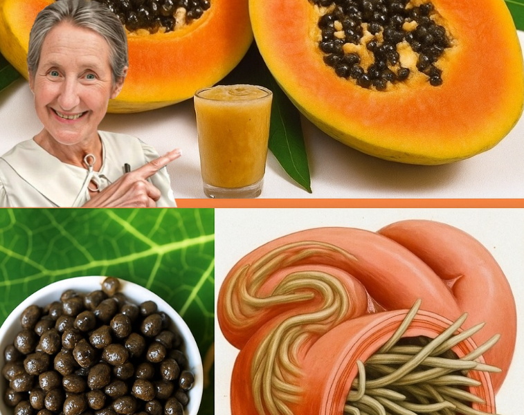 Discover the Hidden Treasure of Papaya Seeds: A Nutritional Powerhouse for Vibrant Health Discover the Hidden Treasure of Papaya Seeds: A Nutritional Powerhouse for Vibrant Health